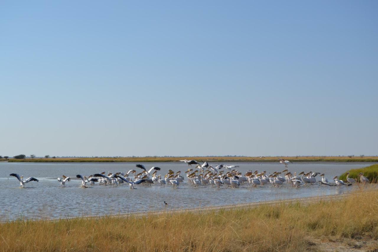 Chobe Sunset Chalets Lesoma Екстер'єр фото
