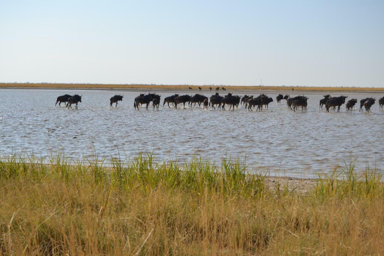 Chobe Sunset Chalets Lesoma Екстер'єр фото